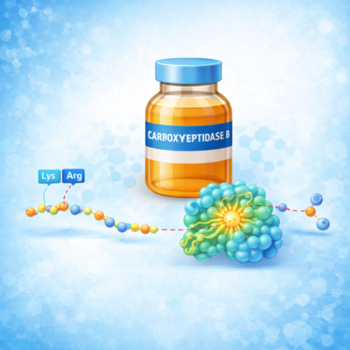 Untitled design - 2026-03-02T114210.557 Carboxypeptidase-B